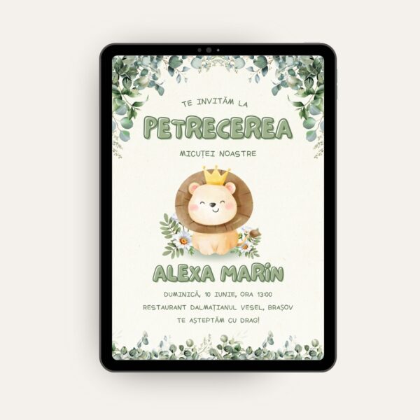 Accesorii petrecere copii, articole petrecere copii, invitații digitale, invitație digitală, petreceri copii ieftine, oferte petreceri copii, decorațiuni petrecere copii, organizare petreceri copii, petreceri aniversare copii, idei petrecere copii, decorațiuni zile de naștere copii invitatii online, invitatii electronice, invitații virtuale, invitații personalizate online, invitații digitale petrecere, invitații digitale elegante, invitații digitale pentru evenimente