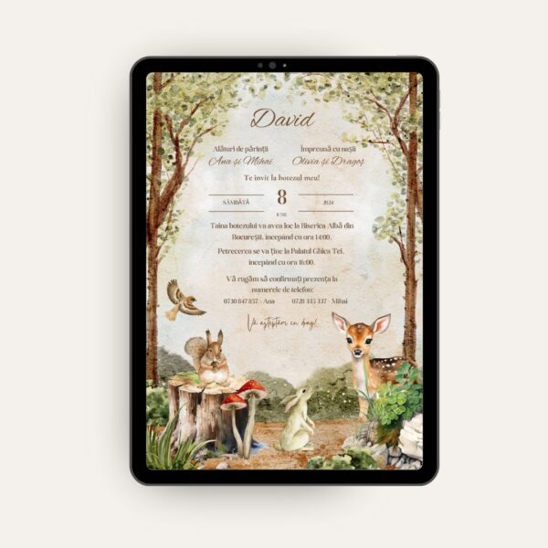 invitații botez online, invitații botez ieftine, invitații botez băiat, invitații botez fete, invitații nunta si botez, invitații botez digitale invitatii electronice, invitații virtuale, invitații personalizate online, invitații digitale petrecere